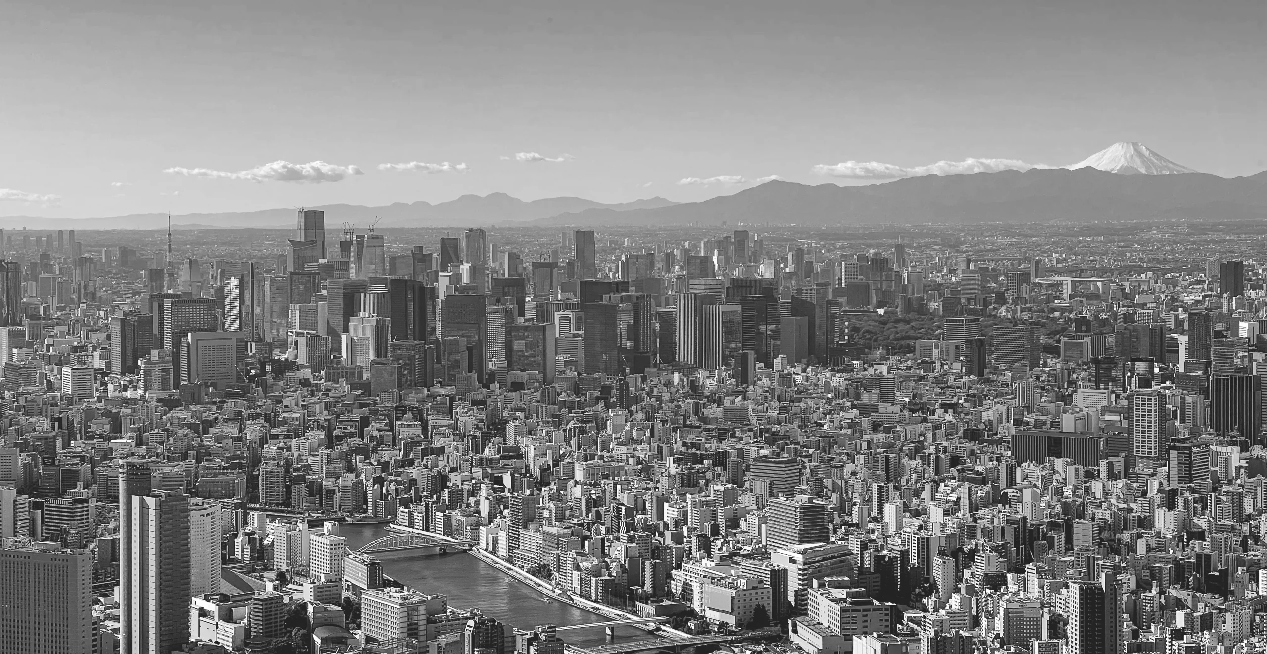 Vue panoramique en noir et blanc de la ville de Tokyo avec le mont Fuji en arrière-plan.